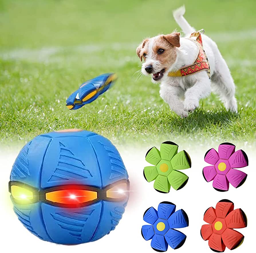 Dog Frisbee Saucer