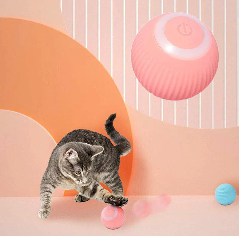 Cat Interactive Toy Ball