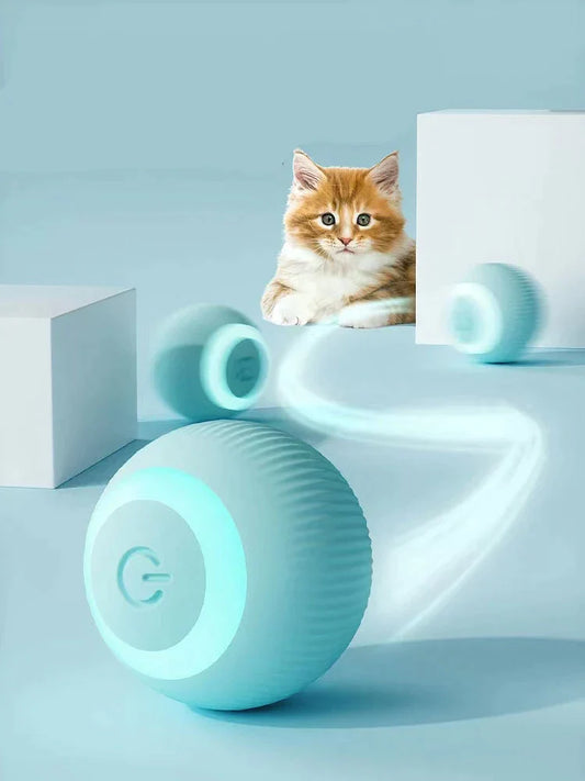 Cat Interactive Toy Ball