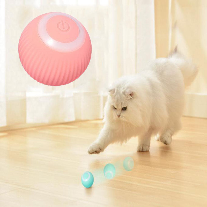 Cat Interactive Toy Ball