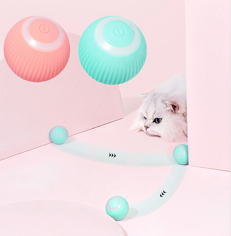 Cat Interactive Toy Ball